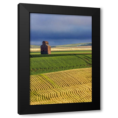 Old wooden granary in Collins-Montana-USA Black Modern Wood Framed Art Print with Double Matting by Haney, Chuck