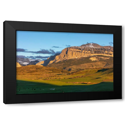 Cattle pastures below Walling Reef at sunrise near Dupuyer-Montana-USA Black Modern Wood Framed Art Print with Double Matting by Haney, Chuck