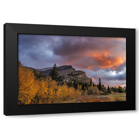 Sunrise clouds over Bear Mountain in Glacier National Park-Montana-USA Black Modern Wood Framed Art Print by Haney, Chuck