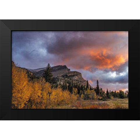 Sunrise clouds over Bear Mountain in Glacier National Park-Montana-USA Black Modern Wood Framed Art Print by Haney, Chuck