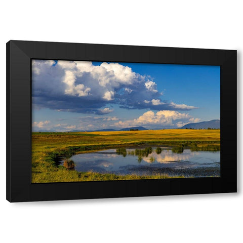 Wetlands pond in the Flathead Valley-Montana-USA Black Modern Wood Framed Art Print by Haney, Chuck