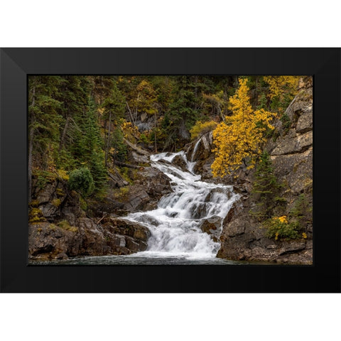 Gros Ventre Falls in autumn-Glacier National Park-Montana-USA Black Modern Wood Framed Art Print by Haney, Chuck