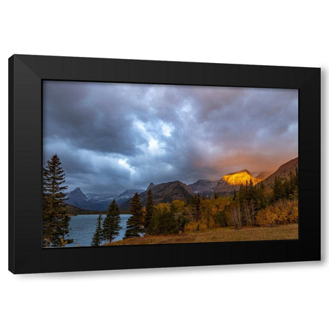 Shoulder of Mount Cleveland bathed in golden sunrise light in Glacier National Park-Montana-USA Black Modern Wood Framed Art Print by Haney, Chuck