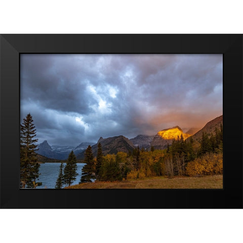 Shoulder of Mount Cleveland bathed in golden sunrise light in Glacier National Park-Montana-USA Black Modern Wood Framed Art Print by Haney, Chuck