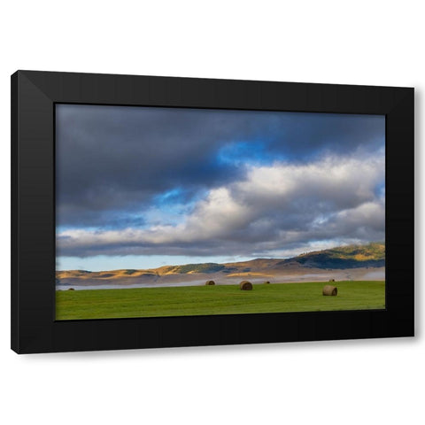 Hay bales in clearing fog with Salish Mountains in Lake County-Montana-USA Black Modern Wood Framed Art Print with Double Matting by Haney, Chuck