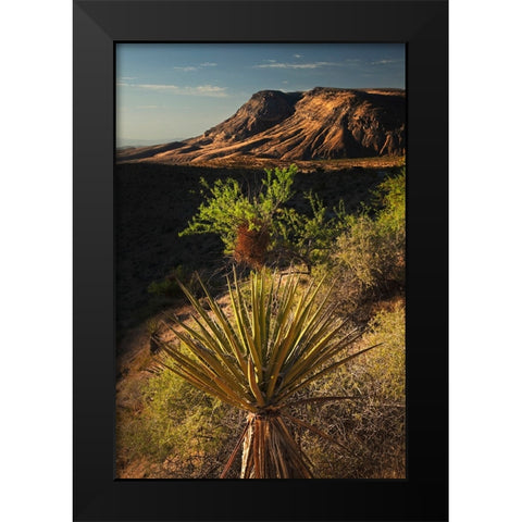 Joshua tree-Yucca brevifolia and sunset on red rocks-Valley of Fire State Park-Nevada Black Modern Wood Framed Art Print by Jones, Adam