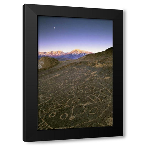 Nevada  Sierra Nevada, Great Basin, Petroglyphs Black Modern Wood Framed Art Print by Flaherty, Dennis