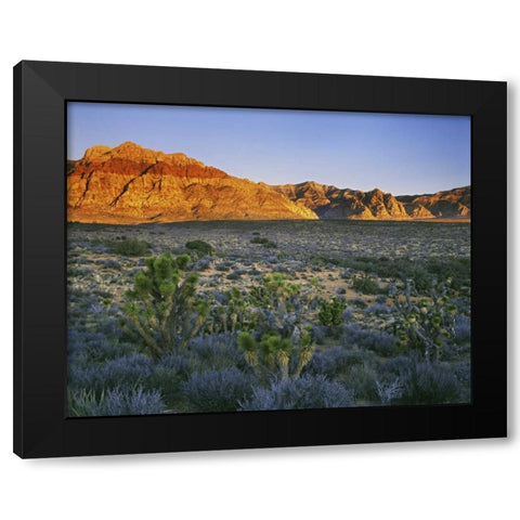 Nevada, Red Rock Canyon Sunset on hills Black Modern Wood Framed Art Print with Double Matting by Flaherty, Dennis