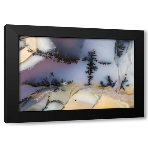 USA, Nevada Close-up of amethyst sage agate Black Modern Wood Framed Art Print by Kirkland, Dennis