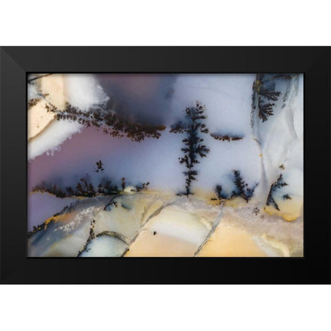 USA, Nevada Close-up of amethyst sage agate Black Modern Wood Framed Art Print by Kirkland, Dennis