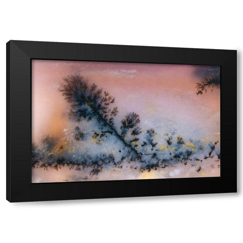 USA, Nevada Close-up of amethyst sage agate Black Modern Wood Framed Art Print by Kirkland, Dennis