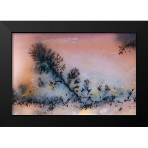 USA, Nevada Close-up of amethyst sage agate Black Modern Wood Framed Art Print by Kirkland, Dennis