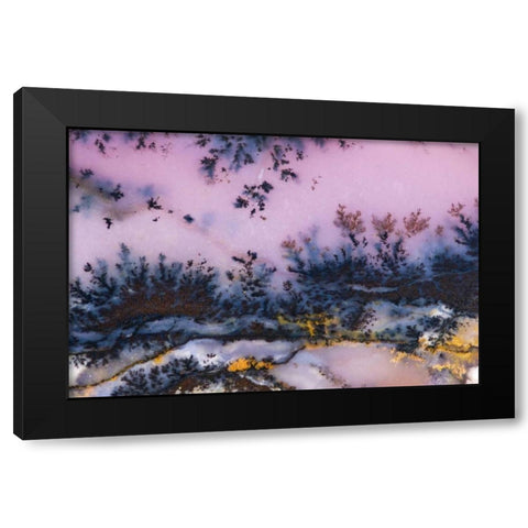 USA, Nevada Close-up of amethyst sage agate Black Modern Wood Framed Art Print with Double Matting by Kirkland, Dennis