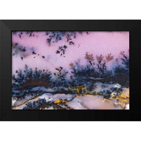USA, Nevada Close-up of amethyst sage agate Black Modern Wood Framed Art Print by Kirkland, Dennis
