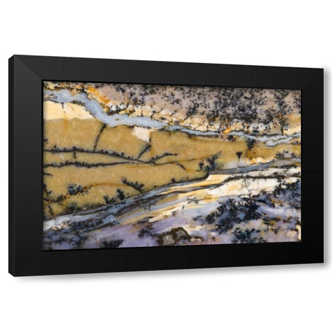 USA, Nevada Close-up of amethyst sage agate Black Modern Wood Framed Art Print by Kirkland, Dennis