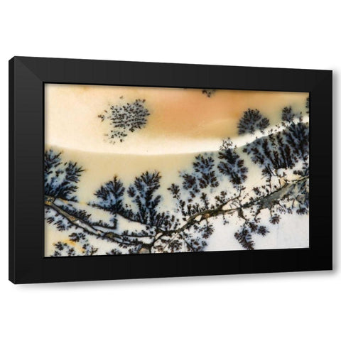 USA, Nevada Close-up of amethyst sage agate Black Modern Wood Framed Art Print with Double Matting by Kirkland, Dennis