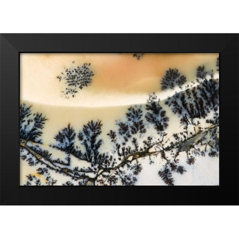 USA, Nevada Close-up of amethyst sage agate Black Modern Wood Framed Art Print by Kirkland, Dennis