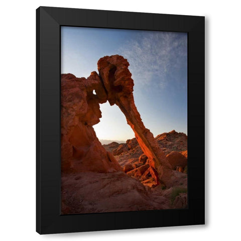 Nevada, Valley of Fire SP View of Elephant Rock Black Modern Wood Framed Art Print by Grall, Don