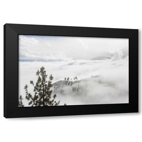 USA, Nevada View from Daggett Pass Black Modern Wood Framed Art Print with Double Matting by Paulson, Don