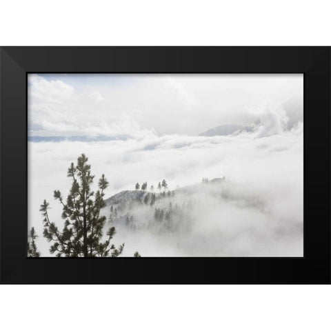 USA, Nevada View from Daggett Pass Black Modern Wood Framed Art Print by Paulson, Don