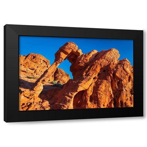 Morning light on Elephant Rock-Valley of Fire State Park-Nevada-USA Black Modern Wood Framed Art Print by Bishop, Russ
