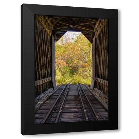 USA-New Hampshire-fall foliage Black Modern Wood Framed Art Print with Double Matting by Jones, Allison