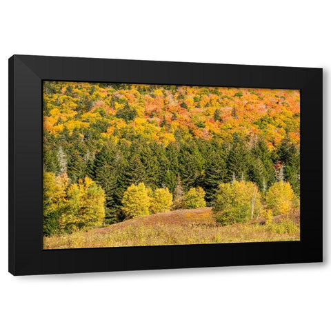 USA-New Hampshire-fall foliage Bretton Woods at base of Mount Washington Black Modern Wood Framed Art Print with Double Matting by Jones, Allison