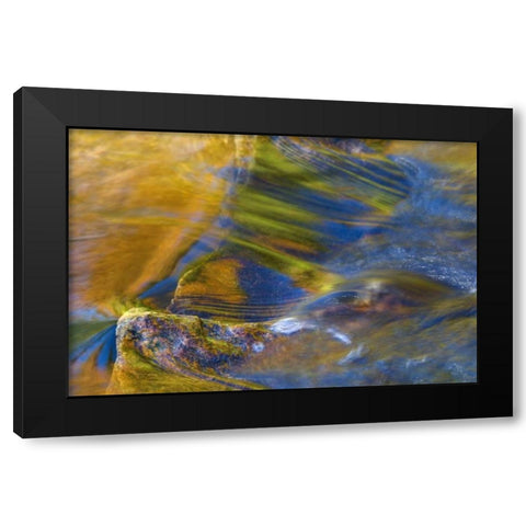 NH, White Mountain NF, Fall reflections in stream Black Modern Wood Framed Art Print with Double Matting by Rotenberg, Nancy