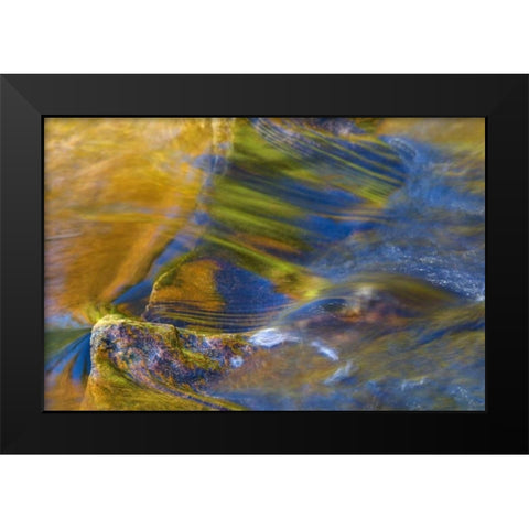 NH, White Mountain NF, Fall reflections in stream Black Modern Wood Framed Art Print by Rotenberg, Nancy