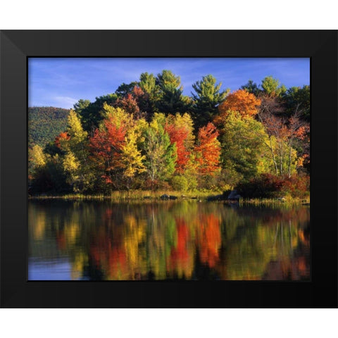 NH Trees in autumn reflecting in Lake Kanasatka Black Modern Wood Framed Art Print by Terrill, Steve