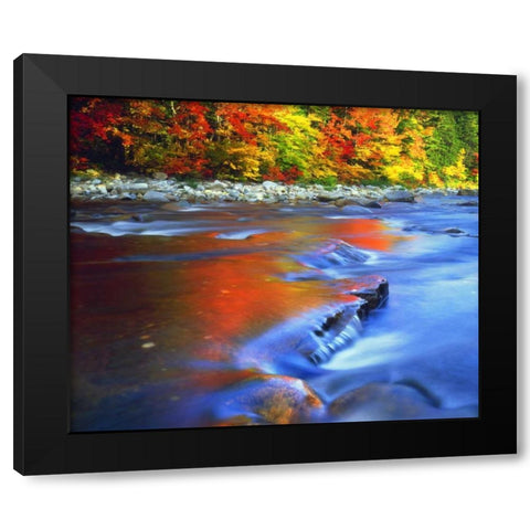 NH, White Mts, Swift River reflecting Autumn Black Modern Wood Framed Art Print by Talbot Frank, Christopher