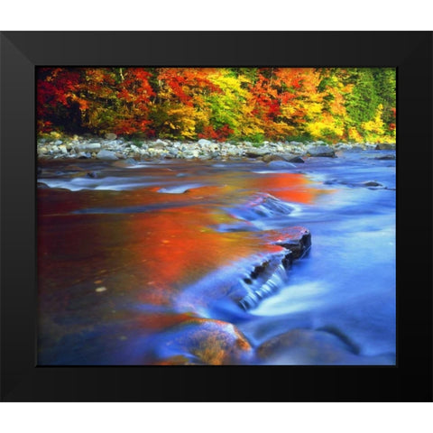 NH, White Mts, Swift River reflecting Autumn Black Modern Wood Framed Art Print by Talbot Frank, Christopher