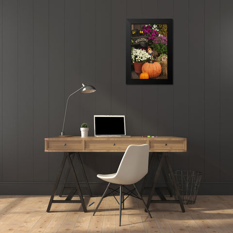 NH, White Mts Autumn decorations in store front Black Modern Wood Framed Art Print by Flaherty, Dennis