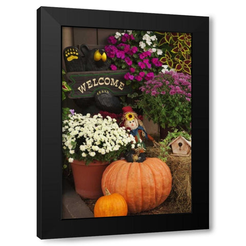 NH, White Mts Autumn decorations in store front Black Modern Wood Framed Art Print with Double Matting by Flaherty, Dennis