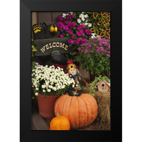 NH, White Mts Autumn decorations in store front Black Modern Wood Framed Art Print by Flaherty, Dennis