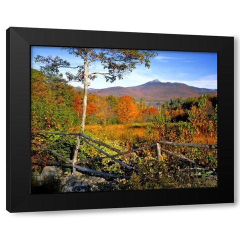 NH, Chocorua Autumn landscape of Mount Chocorua Black Modern Wood Framed Art Print by Terrill, Steve