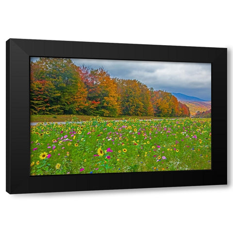 USA-New Hampshire-White Mountains in background with meridian planted with flowers along Interstate Black Modern Wood Framed Art Print by Gulin, Sylvia