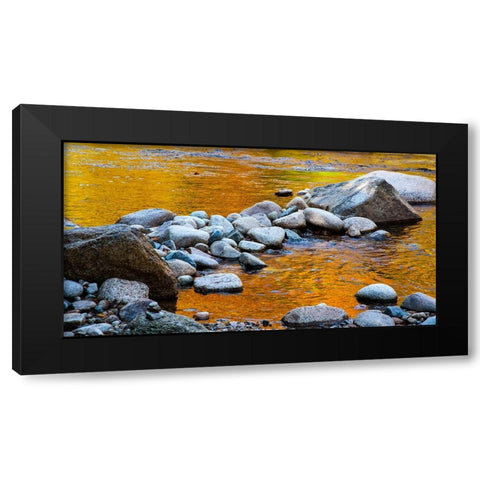 USA-New Hampshire-White Mountains National Forest-Swift River-Golden Fall colors reflected in rocky Black Modern Wood Framed Art Print with Double Matting by Gulin, Sylvia