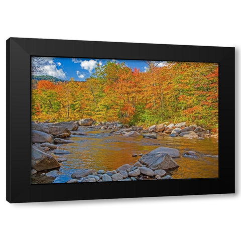 USA-New Hampshire-White Mountains National Forest and Swift River along Highway 112 in Autumn from  Black Modern Wood Framed Art Print by Gulin, Sylvia
