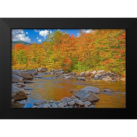 USA-New Hampshire-White Mountains National Forest and Swift River along Highway 112 in Autumn from  Black Modern Wood Framed Art Print by Gulin, Sylvia