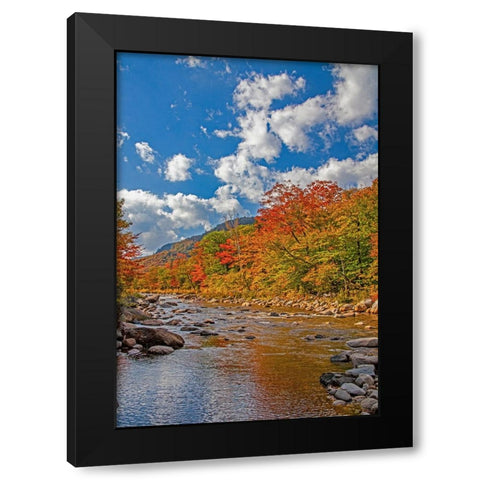 USA-New Hampshire-White Mountains National Forest and Swift River along Highway 112 in Autumn from  Black Modern Wood Framed Art Print by Gulin, Sylvia