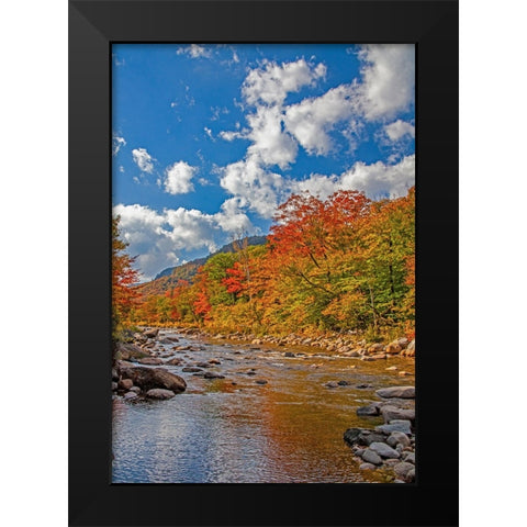 USA-New Hampshire-White Mountains National Forest and Swift River along Highway 112 in Autumn from  Black Modern Wood Framed Art Print by Gulin, Sylvia