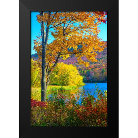 USA-New Hampshire-Franconia-small lake surrounded by Fall color of Maple-White Birch-and American B Black Modern Wood Framed Art Print by Gulin, Sylvia