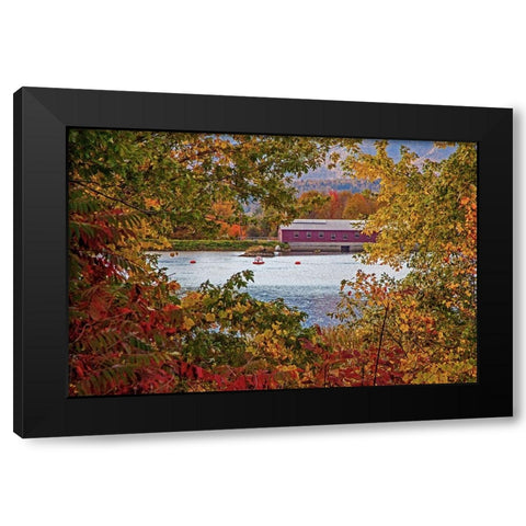 USA-New Hampshire-Gorham-Fall colored trees framing Androscoggin River near damn site Black Modern Wood Framed Art Print by Gulin, Sylvia