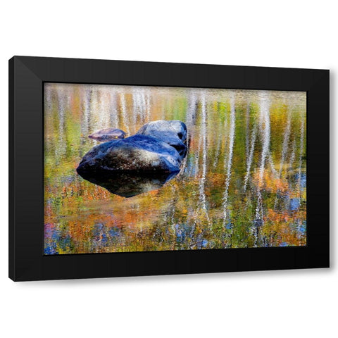 USA-New Hampshire-Gorham Autumn colors reflected in small pond Black Modern Wood Framed Art Print with Double Matting by Gulin, Sylvia