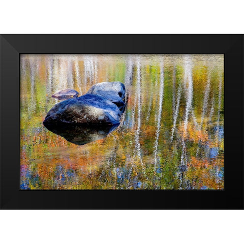 USA-New Hampshire-Gorham Autumn colors reflected in small pond Black Modern Wood Framed Art Print by Gulin, Sylvia