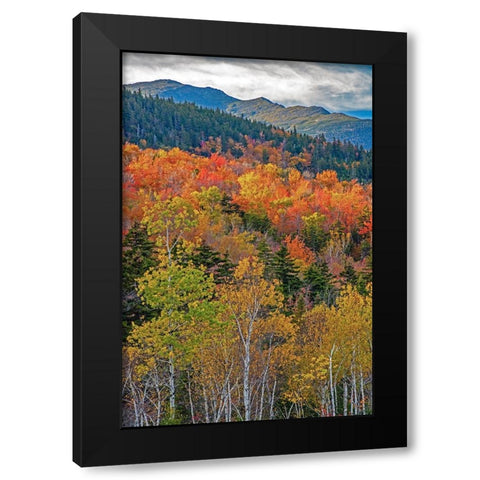 USA-New Hampshire-New England Fall colors on hillsides along highway 16 north of Jackson Black Modern Wood Framed Art Print by Gulin, Sylvia