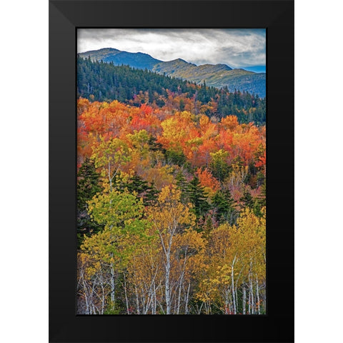 USA-New Hampshire-New England Fall colors on hillsides along highway 16 north of Jackson Black Modern Wood Framed Art Print by Gulin, Sylvia