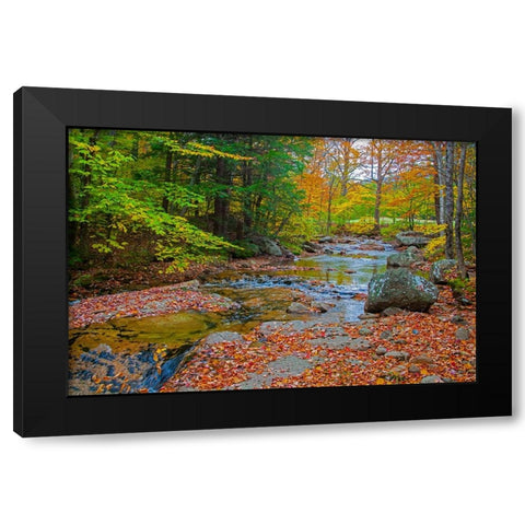 USA-New Hampshire-New England-Jackson small stream surrounded in Fall color Black Modern Wood Framed Art Print by Gulin, Sylvia