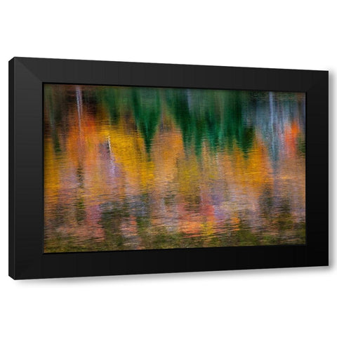 USA-New Hampshire-New England Fall colors reflected in the waters of the Saco River Crawford Notch  Black Modern Wood Framed Art Print by Gulin, Sylvia